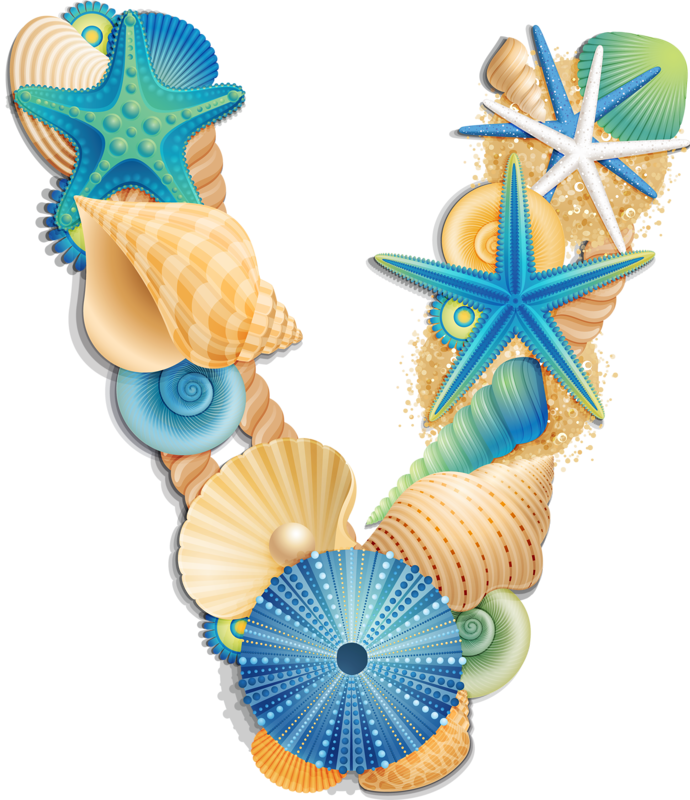 Фото, Автор Arana На Яндекс - Sea Life Urchin 3 Shower Curtain (690x800), Png Download