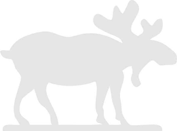 White Moose Black Background (600x445), Png Download