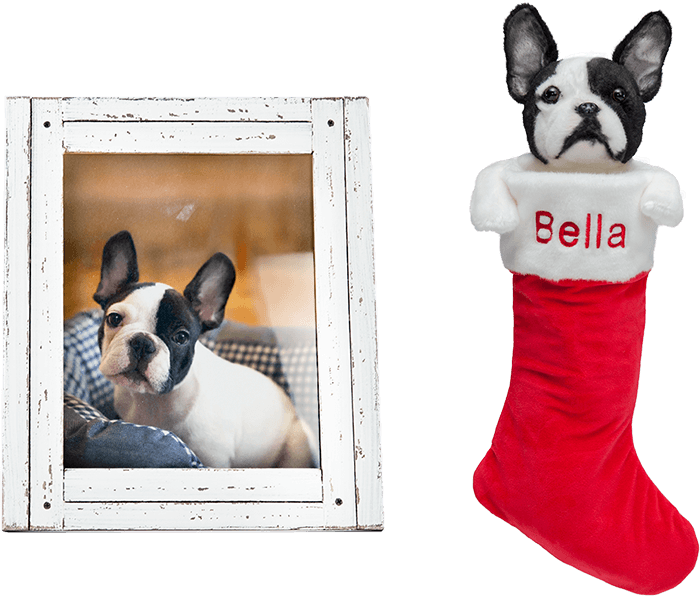 5cuddleclones Custom Holiday Stocking, $139 - Pet (700x596), Png Download