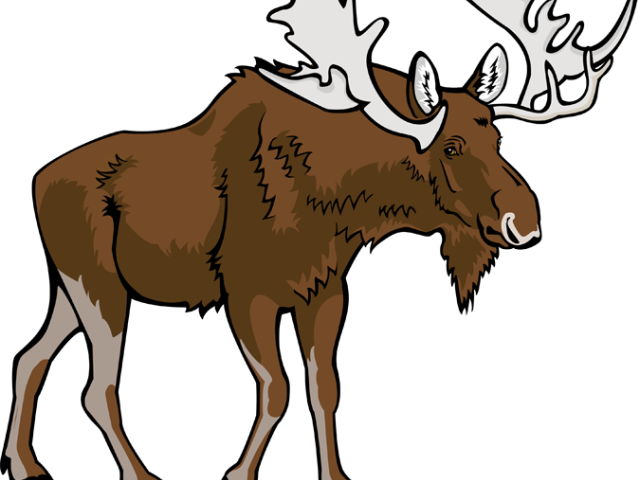 Moose Clipart Ski Lodge - Moose Clipart (640x480), Png Download