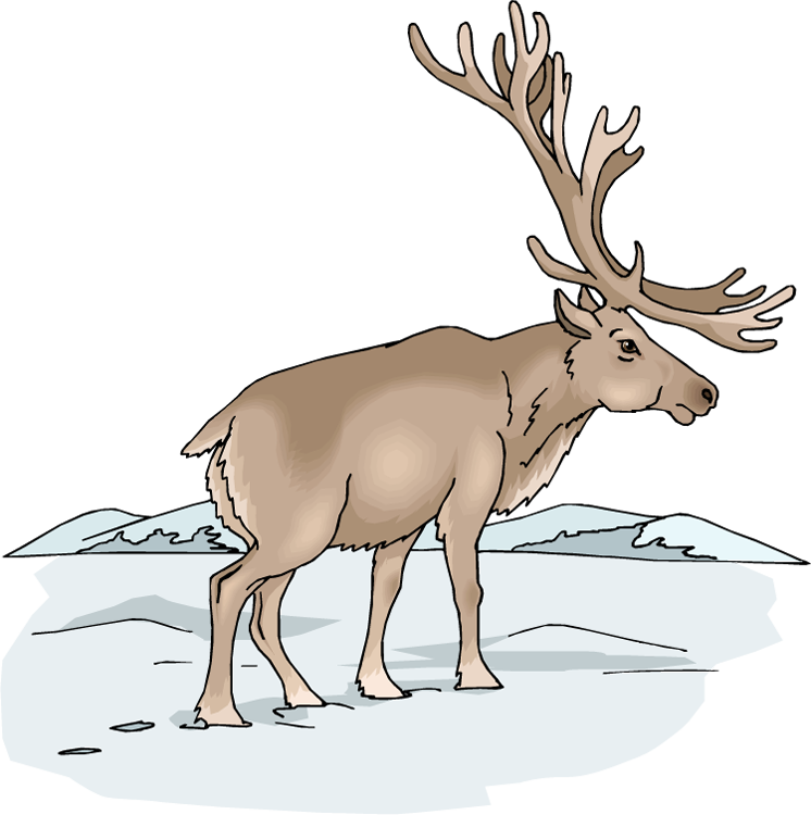 Free Moose Clipart - Animale Din Taigaua Siberiana (746x750), Png Download