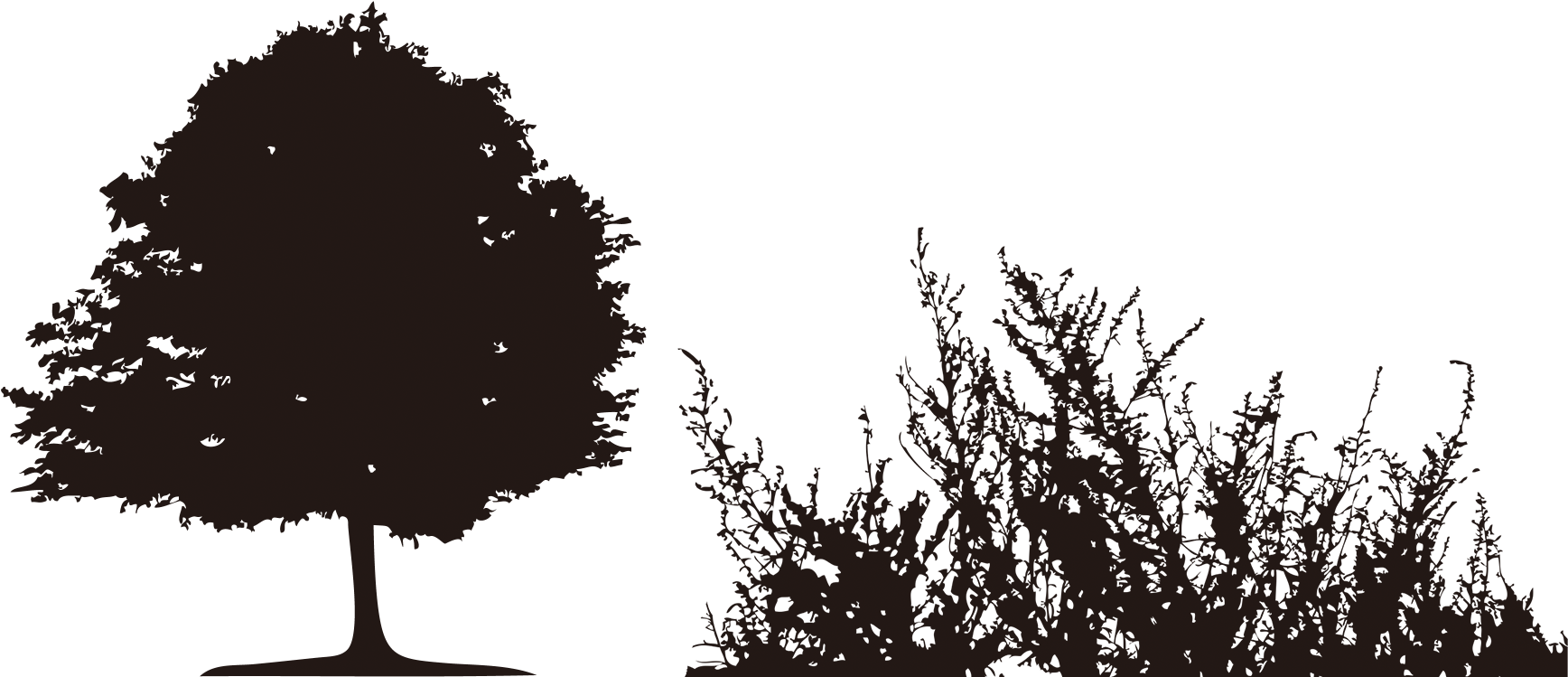 Download Wallpaper Transprent Free - Silhouette (1800x1000), Png Download