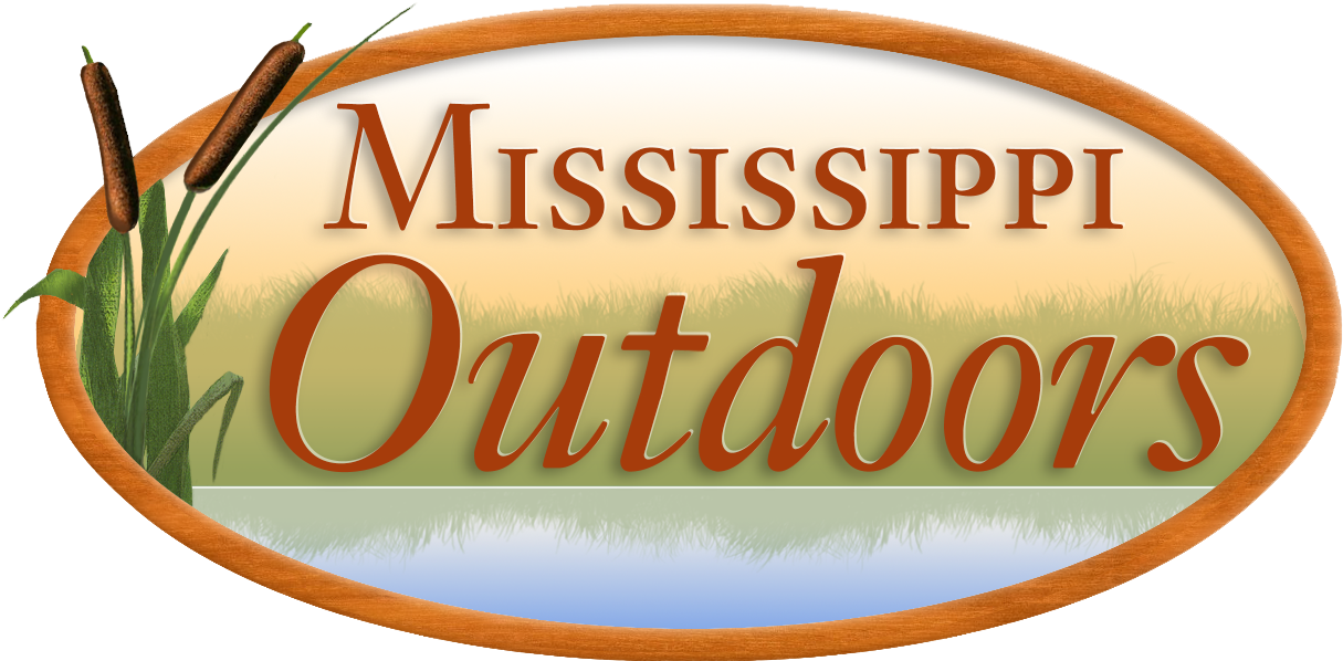 Watch Now - Tan (1275x751), Png Download