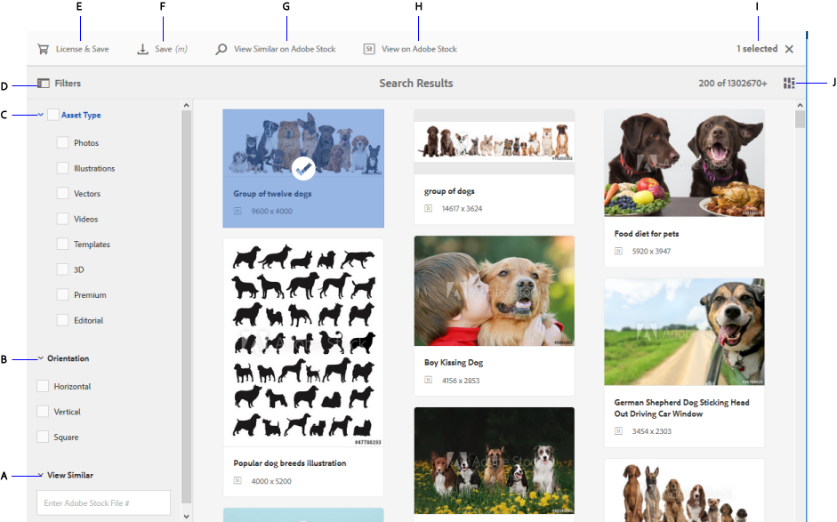 Search For Adobe Stock Assets And Filter Results From - Art Print: Photosoup's Many Dog Breeds In Silhouettes, (941x587), Png Download