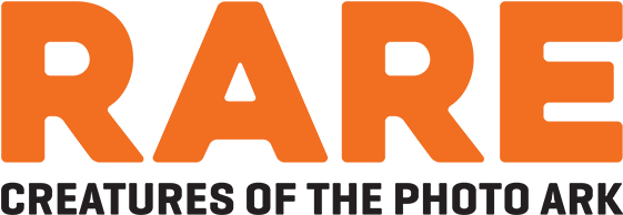 Tt Severs (617x274), Png Download