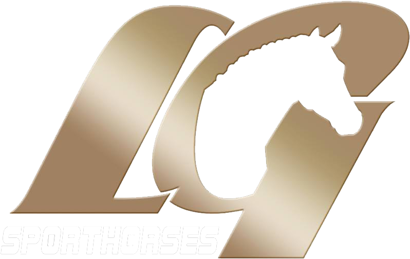 Lg Sport Horses - Horse (853x554), Png Download