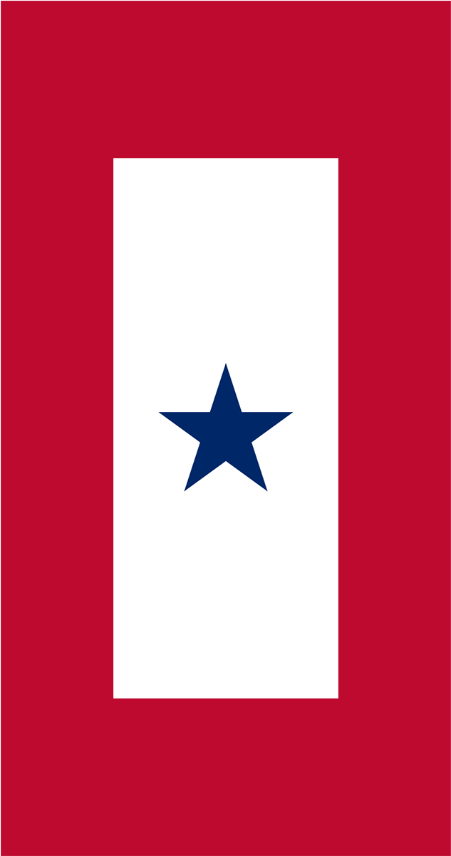 Blue Star Service Banner Filter - Bandera De Panama (1200x1200), Png Download
