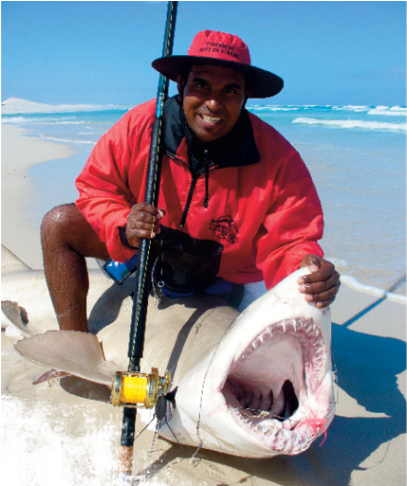Authoritative Sand Tigers Patrol The Beaches Of South - Pull Fish Out Of Water (800x485), Png Download