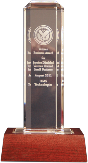 Department Of Veterans Affairs Veteran's Business Award - Information Technology (335x600), Png Download