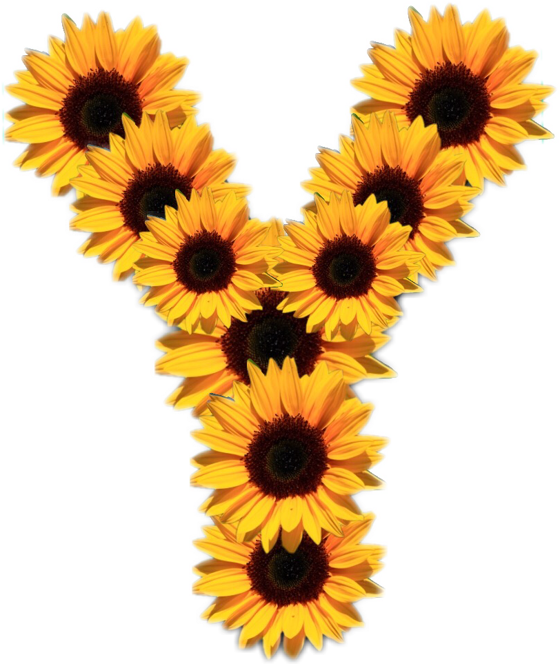 Sunflowers Badge Reel 5 To Choose From Retractable (812x963), Png Download