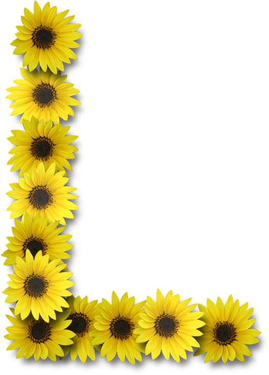Sunflowers Png Alamat Ng - Sunflower Letter H (528x736), Png Download