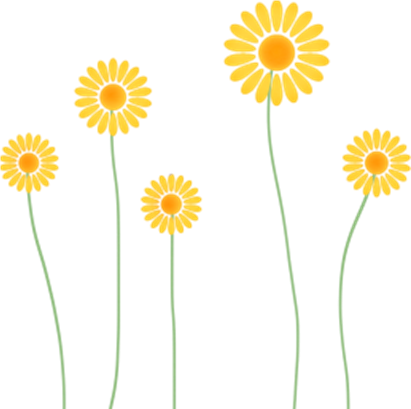 Imágenes De Pocoyo Con Fondo Transparente, Descarga - Flower (411x409), Png Download