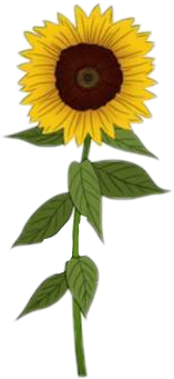 Stickers Tumblr Girasoles (370x355), Png Download