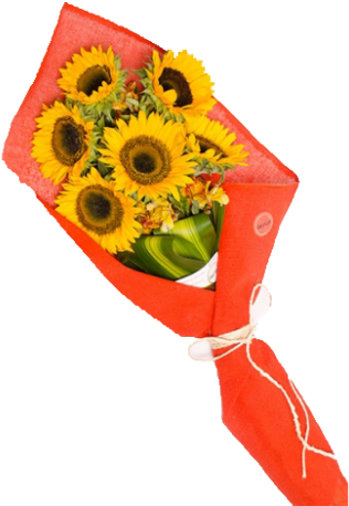 Girasoles - Ramo De 5 Girasoles (458x458), Png Download