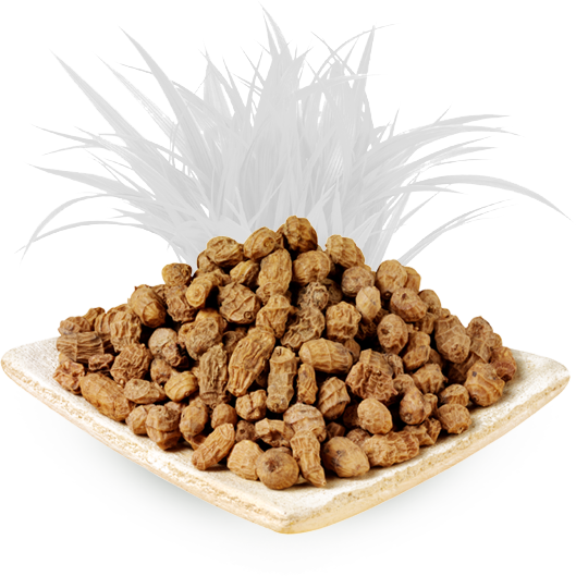 Every Time We Are Present In More Places, Ask For This - Tiger Nuts 25 Kg (529x529), Png Download