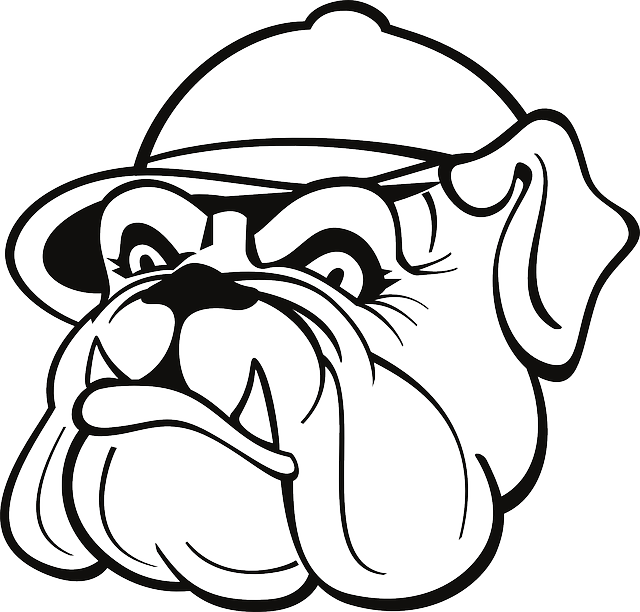 Outline, Drawing, Dog, Hat, Cap, Bulldog, With - Bulldog With Hat Drawing (640x612), Png Download