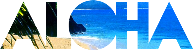 Source - Static - Tumblr - Com - Aloha Tumblr Transparent (675x210), Png Download