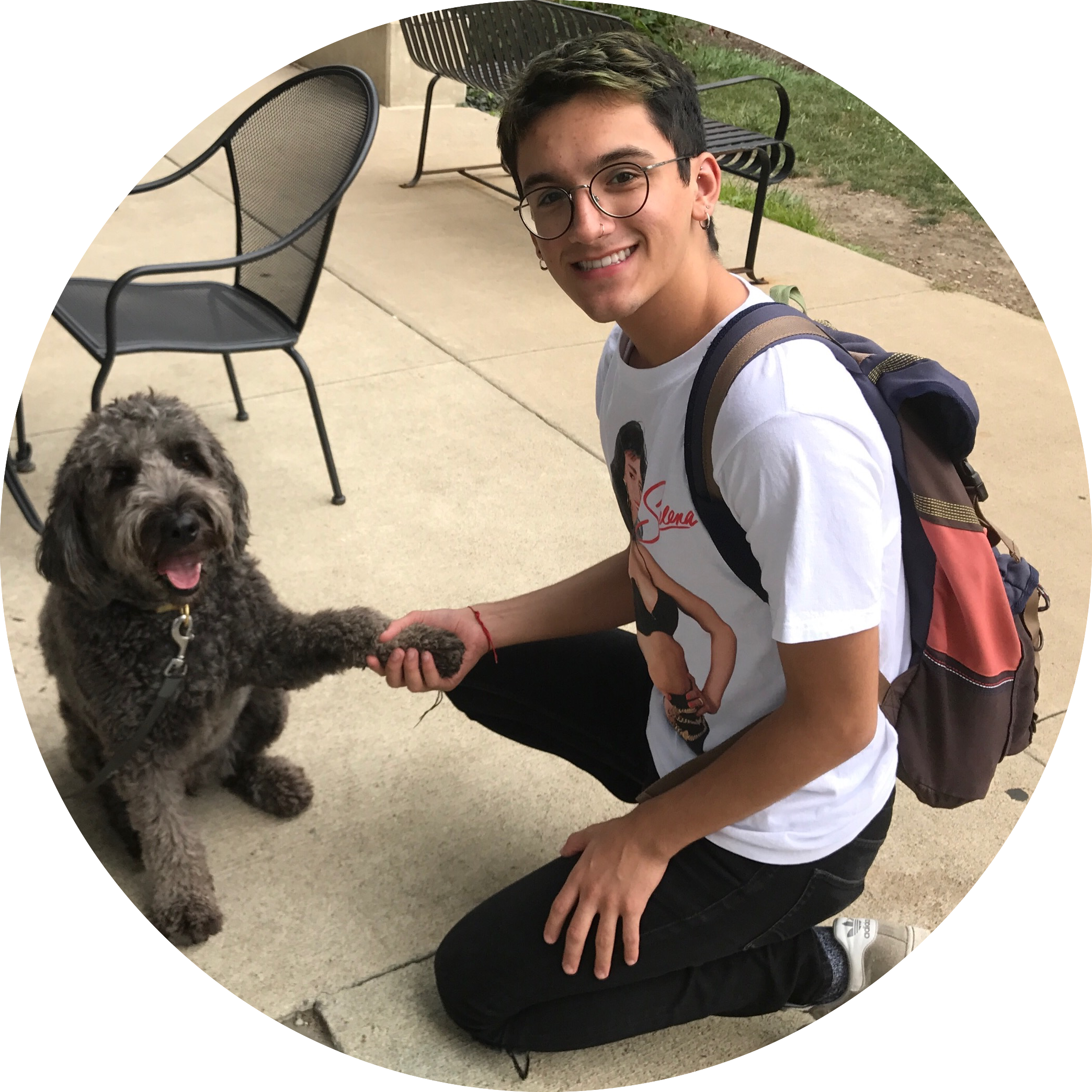 Juan Loves Selena And Singing Alone In His Room - Labradoodle (2088x2088), Png Download