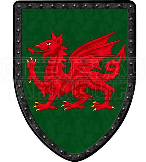 Red Dragon On Green Steel Battle Shield - Armour (550x550), Png Download