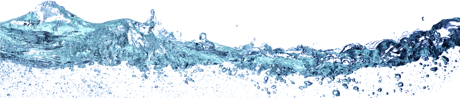 Water - Seabird (1919x435), Png Download
