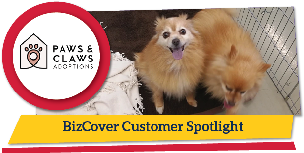 Pomeranian (636x319), Png Download