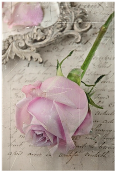 Petal (400x400), Png Download