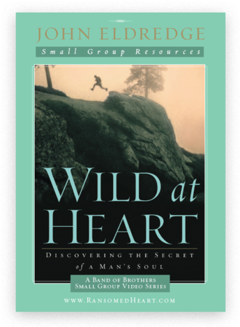 Wild At Heart - Wild At Heart Book (480x472), Png Download