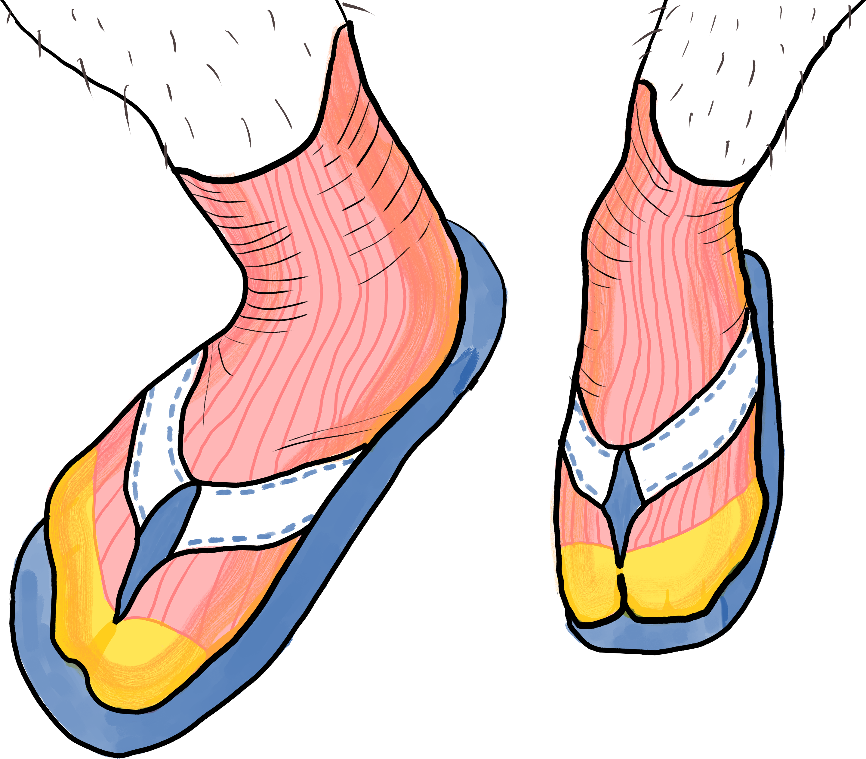 Sandals Clipart Sock Sandal (4013x3084), Png Download