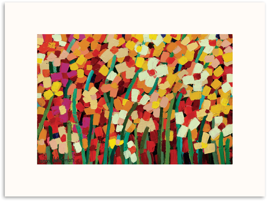 256abg P Skeeta Daisies - Canvas (900x900), Png Download