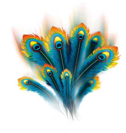 Peacock Feather Round Feathers Png (480x480), Png Download