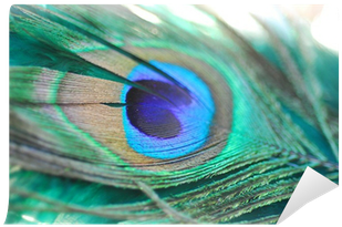 Purple Peacock Feather Png - Feather (400x400), Png Download