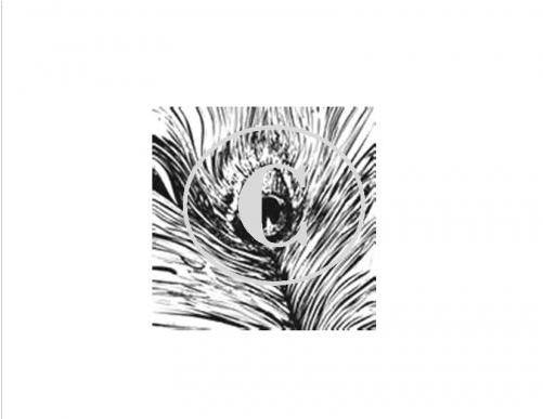 Peacock Feather, Art Acetate Background - Black And White Peacock Feather (500x500), Png Download