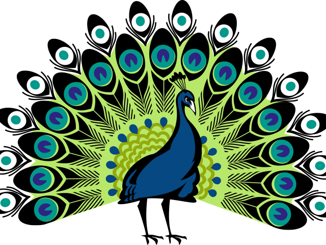Peacock Clipart Png Format - Simple Colorful Peacock Drawing (640x480), Png Download
