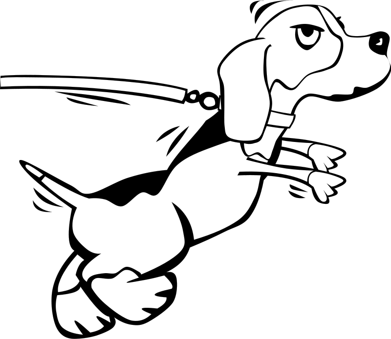 Line Drawings Of Dogs - Dog On Leash Drawing (800x695), Png Download