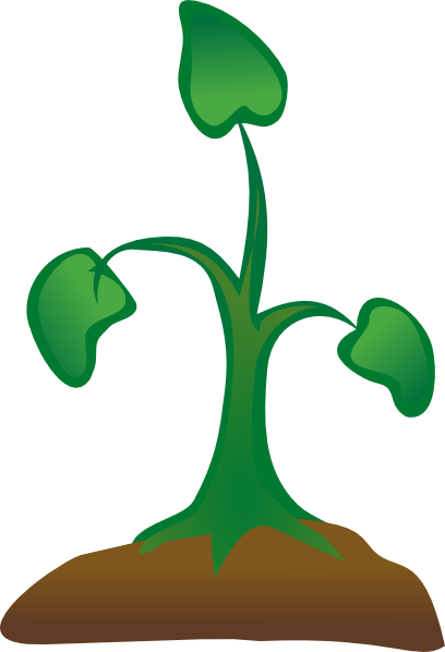 Seedling Clipart Sapling Cute Borders - Sapling Clipart Png (408x598), Png Download
