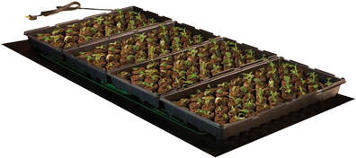 Hydrofarm Seedling Heat Mat 48 X 20 Inch - Hydrofarm 48" X 20" Seedling Heat Mat, 107 Watt (400x400), Png Download