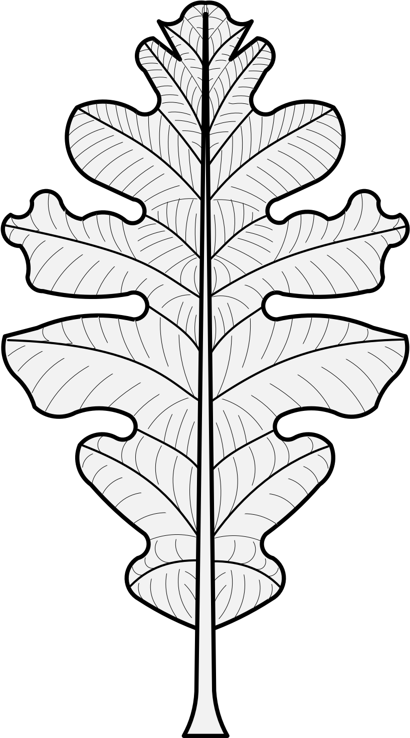 Details, Png - Oak Leaf Heraldry (827x1471), Png Download