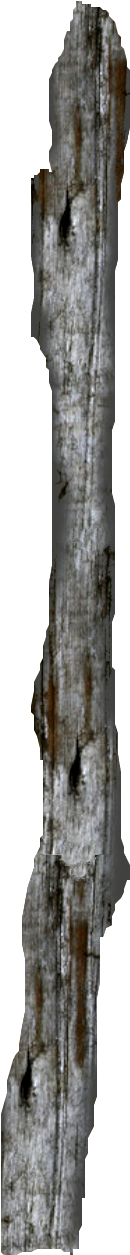 By - Driftwood (1240x1383), Png Download