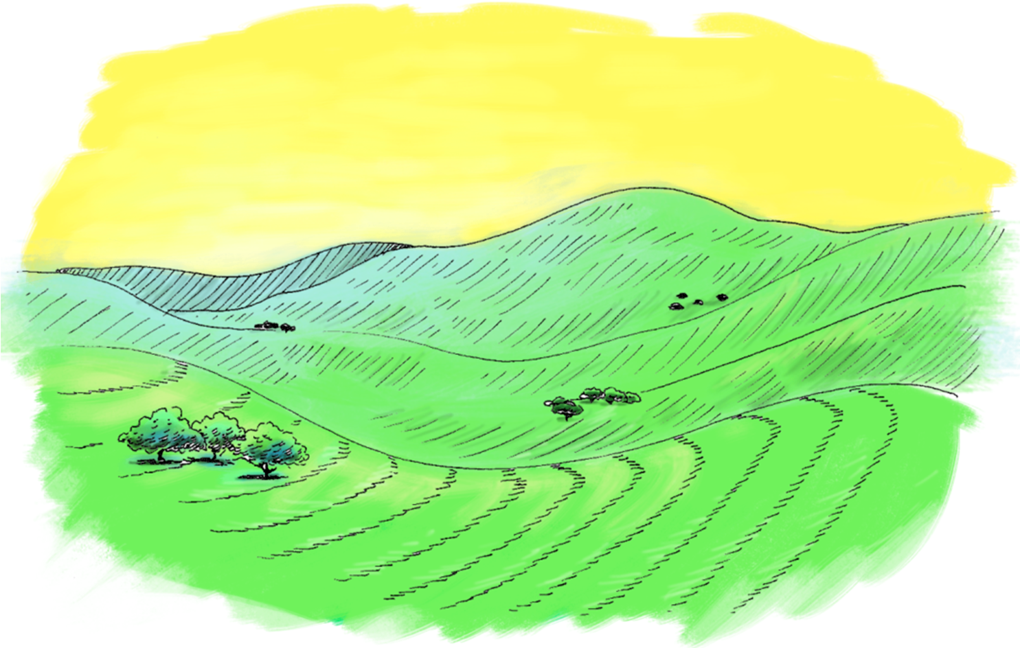 Juristac Owen Sm2 - Visual Arts (1484x950), Png Download