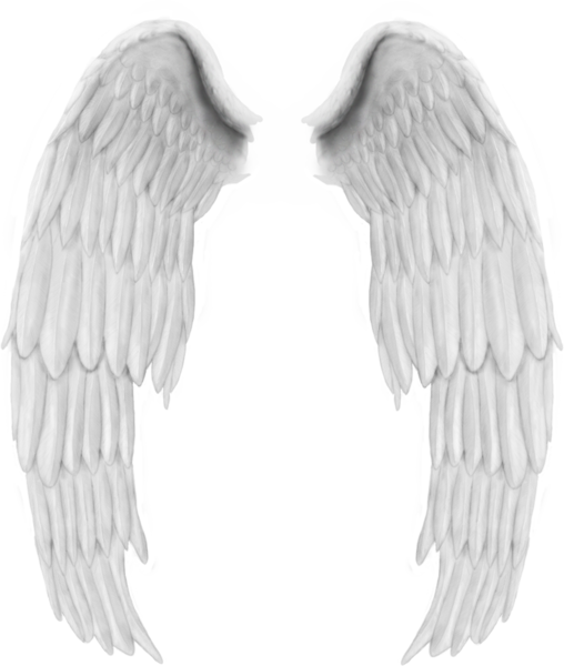 White Wings Png High Quality Image - Angel Feather In Png (508x600), Png Download