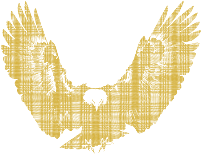 Eagle Awards (1000x626), Png Download