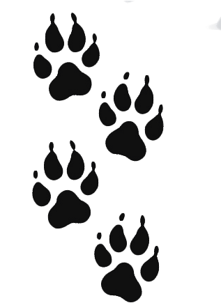 Join The Andalusian Pact For The Wolf - Logo Pet Vector (354x458), Png Download