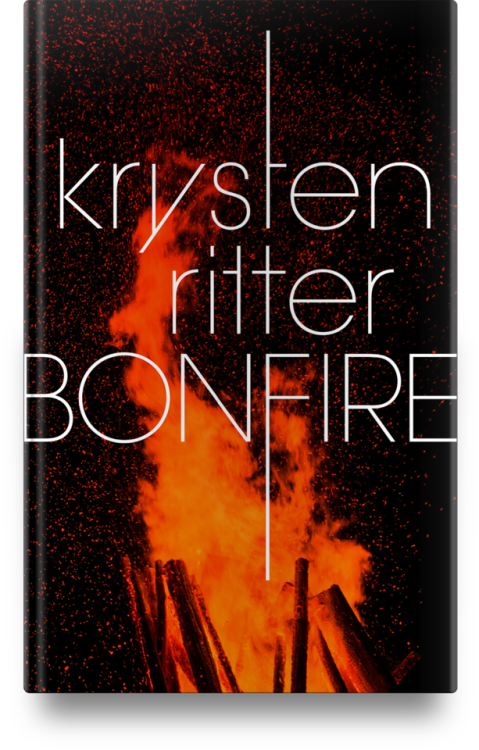 Gia In Veronica Mars And Most Recently, Everyone's - Bonfire Krysten Ritter (479x750), Png Download