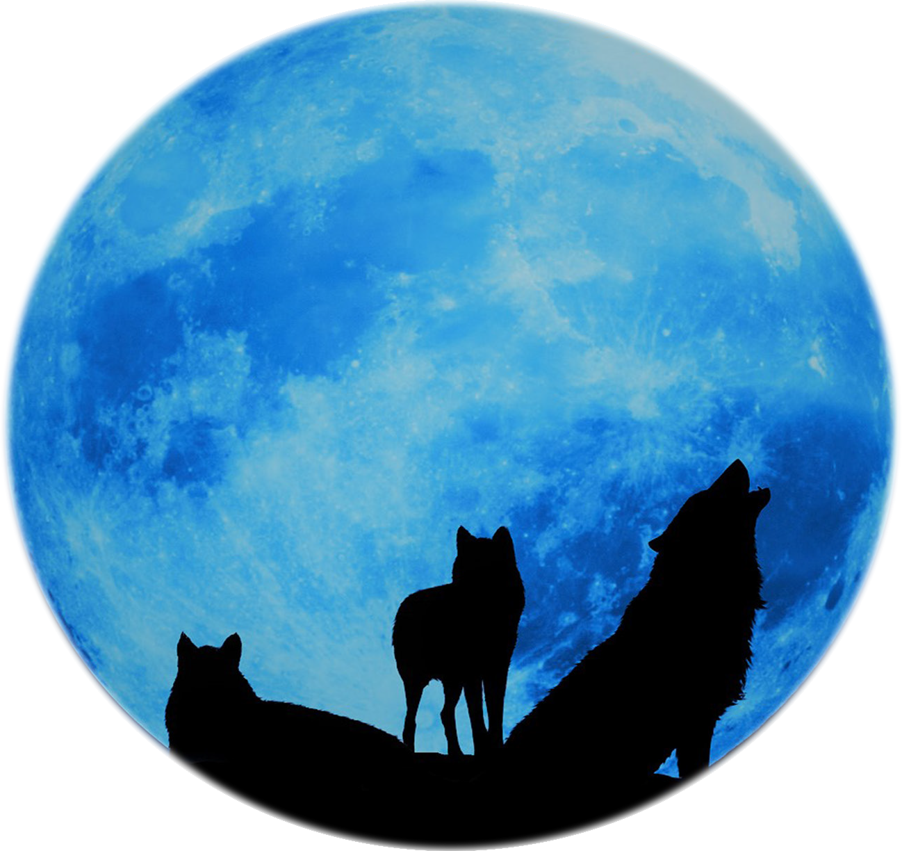 Black Wolf Ceramics - Wolf's Cross By S A Swann (1298x1224), Png Download