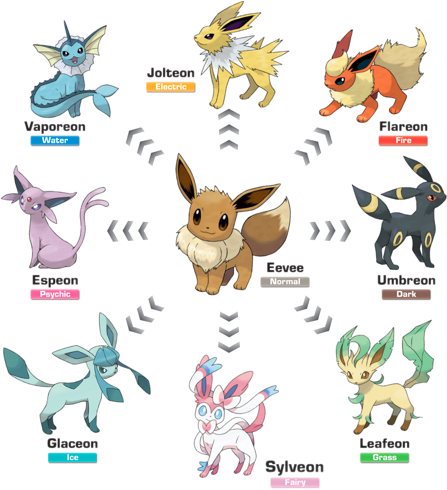 All The Other Eeveelutions Get A Tail Eevee Had One - Evoluzione Eevee Pokemon Go (909x986), Png Download