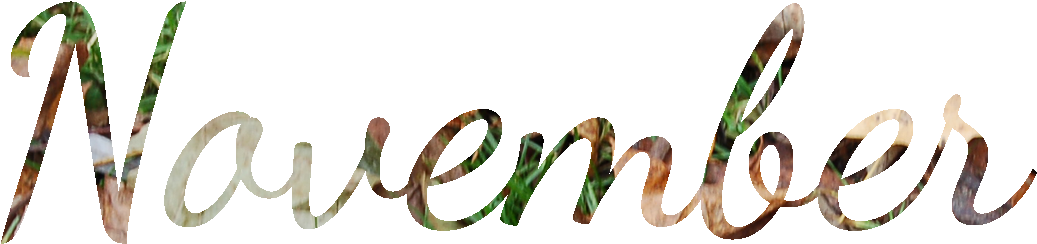 November Png Hd - November Png (1124x330), Png Download