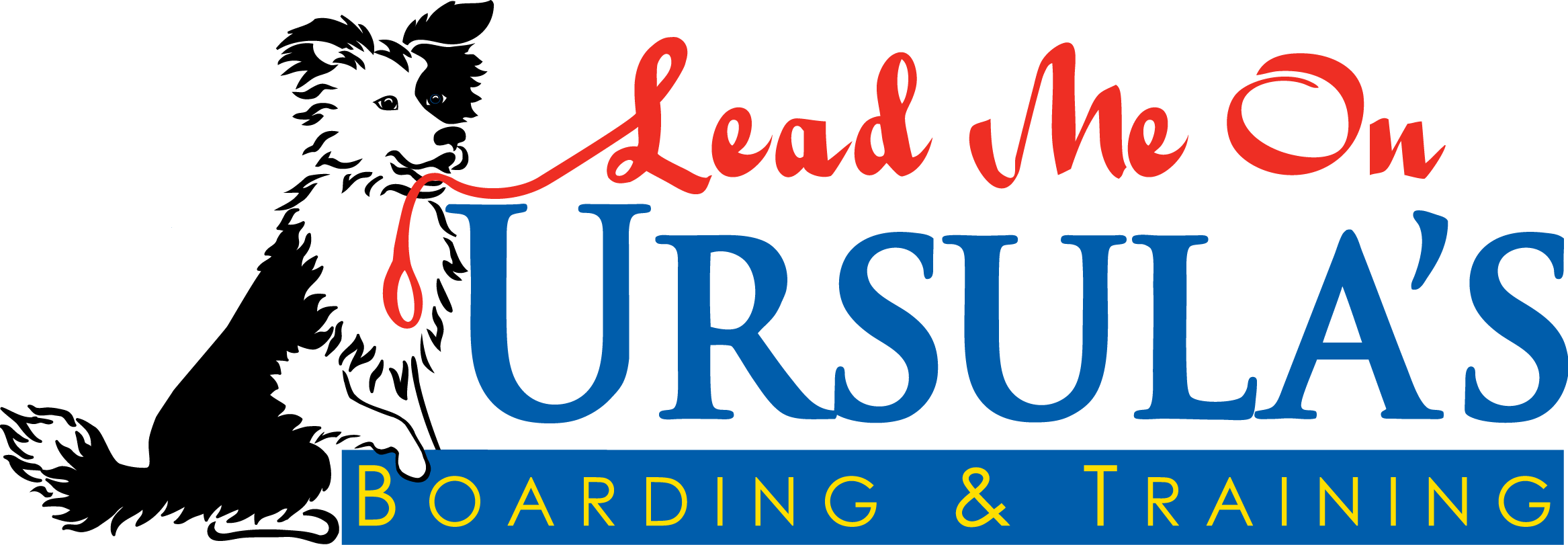 Ursula's Lead Me On - Whelan & Di Scala (2334x811), Png Download