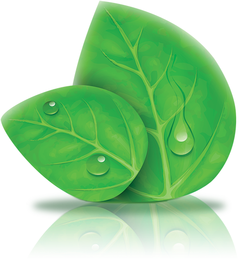 Sustainable Development Is Defined As - Smile Ykk Green Leaves Cotton Linen Square Throw Pillow (600x556), Png Download