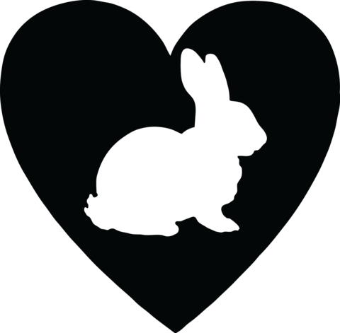 Eco - Bunny On Board Sticker (480x471), Png Download