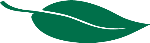 Sustainability Leaf (600x450), Png Download